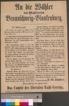 Wahlaufruf der Liberalen Partei (Nationalliberalen Partei) für den Wahlkreis Braunschweig-Blankenburg zur Reichstagswahl am 10. Januar 1874