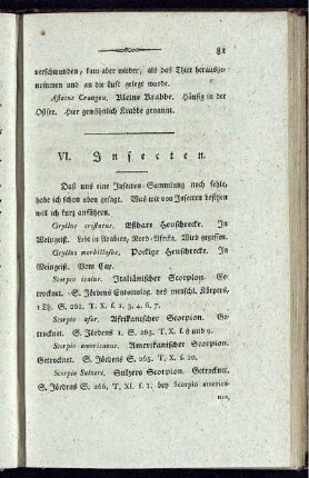 VI. Insecten.