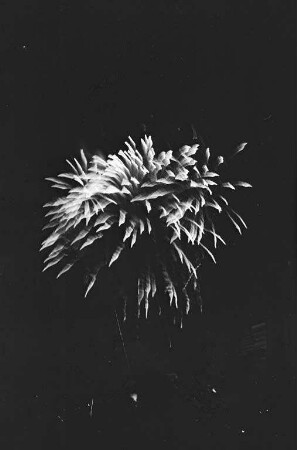 Sommernachtsfest im Stadtgarten mit Feuerwerk.