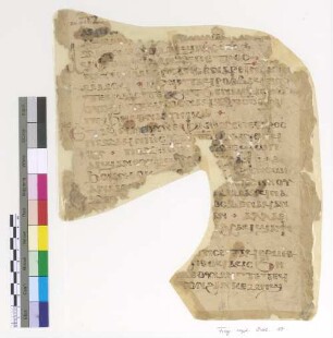 Jh. XXI, 19 - 25