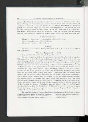 VII. Genus Aulocoryne (Fowler 1898).