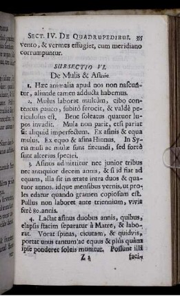 Subsectio VI. De Mulis & Asinis