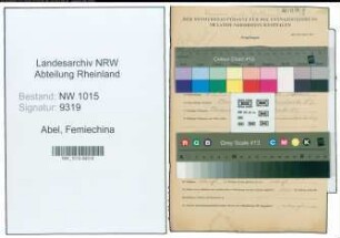 Entnazifizierung Femiechina Abel , geb. 02.09.1891 ()