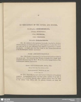 II. Description Of The Genera And Species