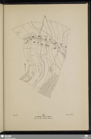 Abb. 26 Sora