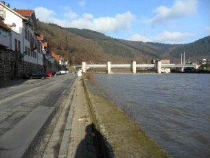 Stadtbefestigung-Stadtmauer der Hinterstadt mit im 19 Jh aufgebauten Häusern im Verlauf nach Nordosten mit Neckarfluß in Übersicht