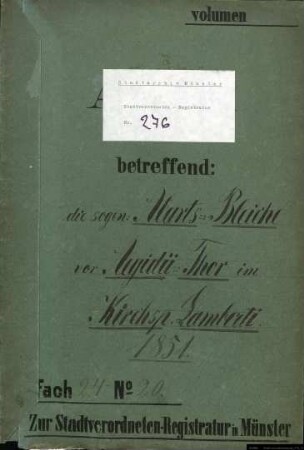 Alrathsbleiche vor dem Aegidiitor