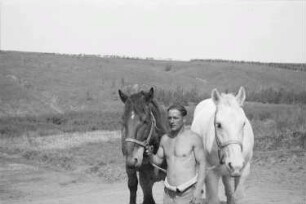 Zweiter Weltkrieg. Frontbilder. Rußland, Oblast Belgorod. Angehöriger der deutschen Wehrmacht mit Pferden