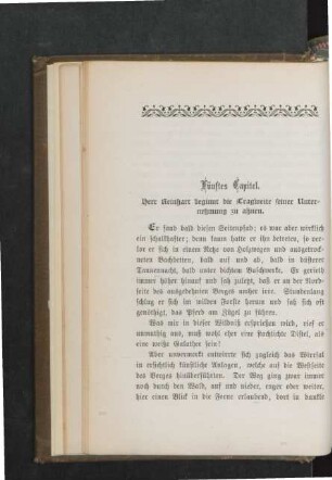 Fünftes Capitel.