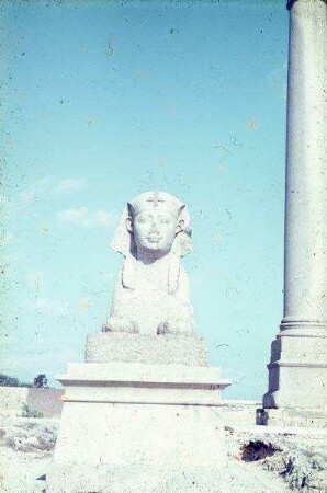 Alexandria Sphinx + Pomp.-Säule