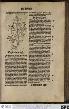 Capitulum ccxii.