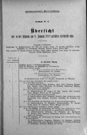 Übersicht der in der Sitzung gefaßten Beschlüsse u.s.w. (6.), 08. Januar 1919