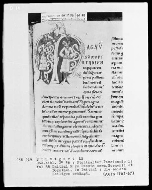 Stuttgarter Passionale — Heilige der pars aestiva (zweiter Band) — Initiale M (agnum sumopere studium), darin Erhängung der Heiligen Gorgonius und Dorotheus, Folio 88verso