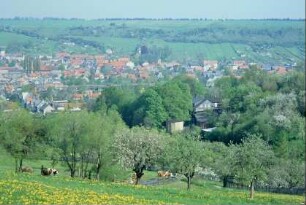Ortsansicht, Tiere auf der Weide