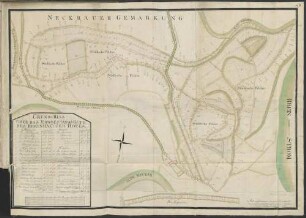 Nr. 11 Grund-Riss über das Erbbestands-Guth des Rheinhaeuser Hofes