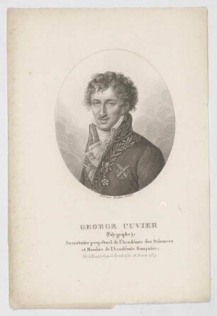 Bildnis des George Cuvier