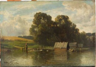 Enten am Starnberger See