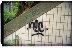nec