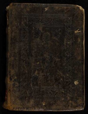 P. Ovidius Naso: Opera varia : Ms. Diez. B Sant. 29