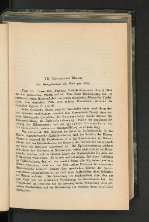 VII. Chronisches Ekzem.