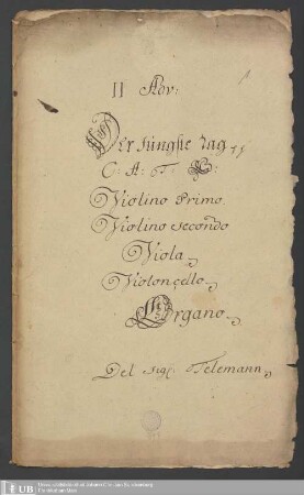 Ms. Ff. Mus. 894 - II Adv: : Der Jüngste Tag pp : C: A: T: B:, violino primo, violino secondo, viola, violoncello, organo