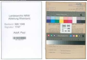 Entnazifizierung Paul Adolf , geb. 13.10.1892 (Landwirt)