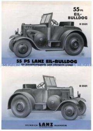 Eil-Bulldog