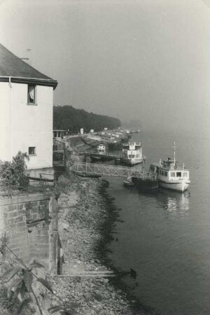 Niedrigwasser in Koblenz