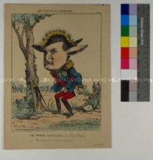 Die Aufnahme von Badinguet - Karikatur zu Eugene Louis Napoleon
