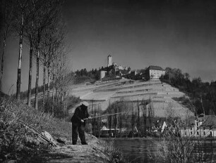 Archivfotografie "neckar_hornberg_6065"