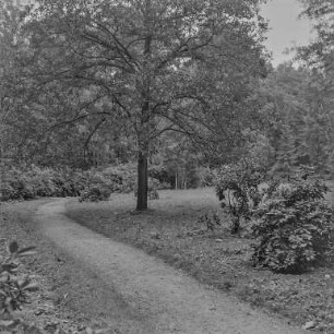 Kumrowitz (Schloss und Park)