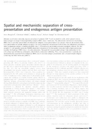 Spatial and mechanistic separation of cross-presentation and endogenous antigen presentation