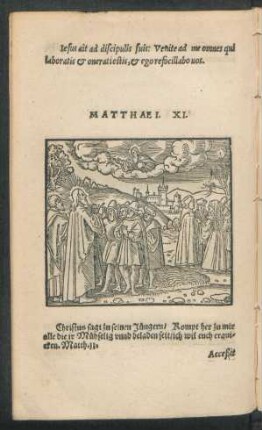 Matthaei. XI. - XX.