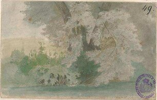 ohne Verfasserangabe; Landschaft - Ansicht