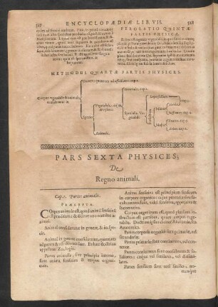 Pars Sexta Physices; De Regno animali.