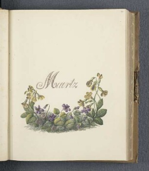 Maertz