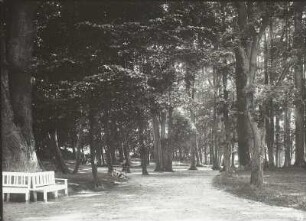 Waldpark mit Ruhebänken