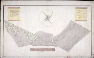 Göffingische Äcker bei Betzenweiler Maßstab ca. 1 : 1500 Zeichner Johann Schreyvogel col. handgez.