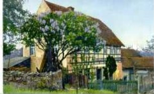 Ansicht eines Bauernhofes mit blühendem Fliederbusch