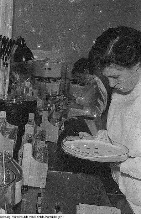 Blutspendedienst, Februar 1956