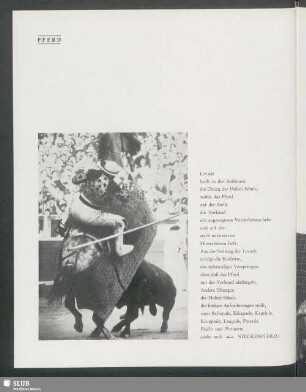 Stierkampf, berittener Torero
