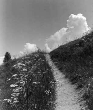 Wiesenhang in der Steiermark