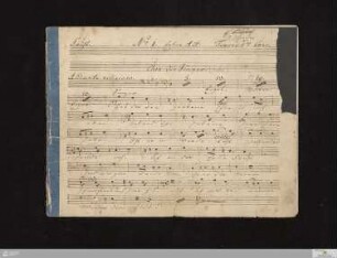 Tenor 2 (10 Stimmen)