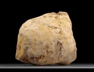 Verkieseltes Holz Holz