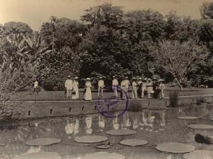 Buitenzorg (Bogor), Java/ Indonesien. Botanischer Garten (1817; K. G. K. Reinwardt). Touristengruppe vor einem Teich mit Victoria Regia