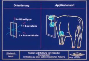 Position und Richtung von injizierten Transpondern in Relation zu einer seitlichen installierten Antenne
