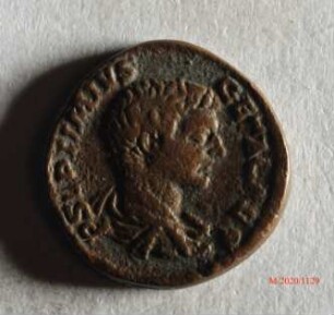 Römische Münze, Nominal Denar, Prägeherr Septimius Severus für Geta, Prägeort nicht bestimmbar, Fälschung