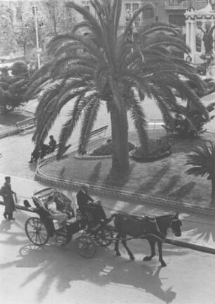 Italien. Alassio an der Ligurischen Küste. Kutsche vor Platz mit Palmen