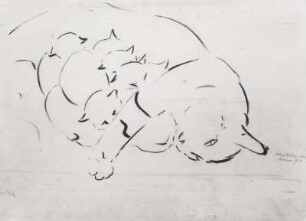 Katzenmutter. Tuschezeichnung (1938; E. Richter). Dresden-Südvorstadt, Eisenstuckstraße, Atelier der Künstlerin