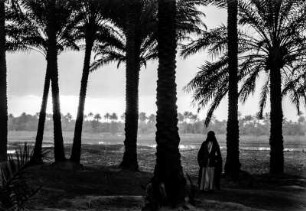 Fluß im Irak (Deutsche Indien-Expedition 1926/1929 - Rückreise: Irak-Syrien-Libanon-Türkei)